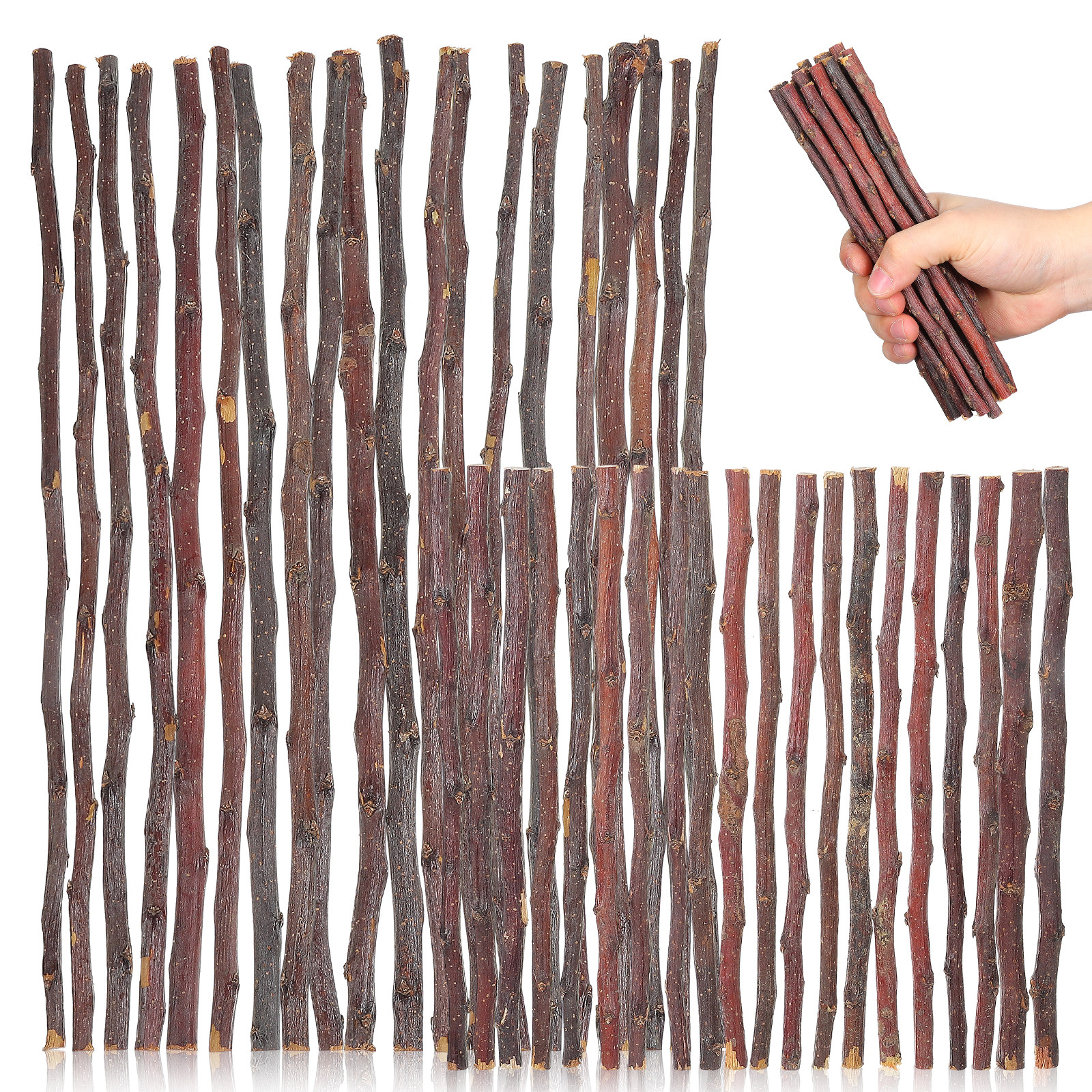 40Pcs Premium DIY Twig Decor N - đánh giá và giá Craft Embellishments