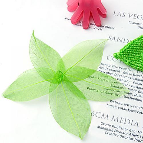 Natural Catbrier Skeleton Leav - đánh giá và giá Craft Embellishments