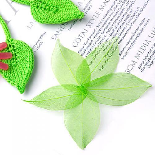 Natural Catbrier Skeleton Leav - đánh giá và giá Craft Embellishments