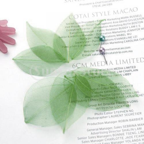 Natural Catbrier Skeleton Leav - đánh giá và giá Craft Embellishments